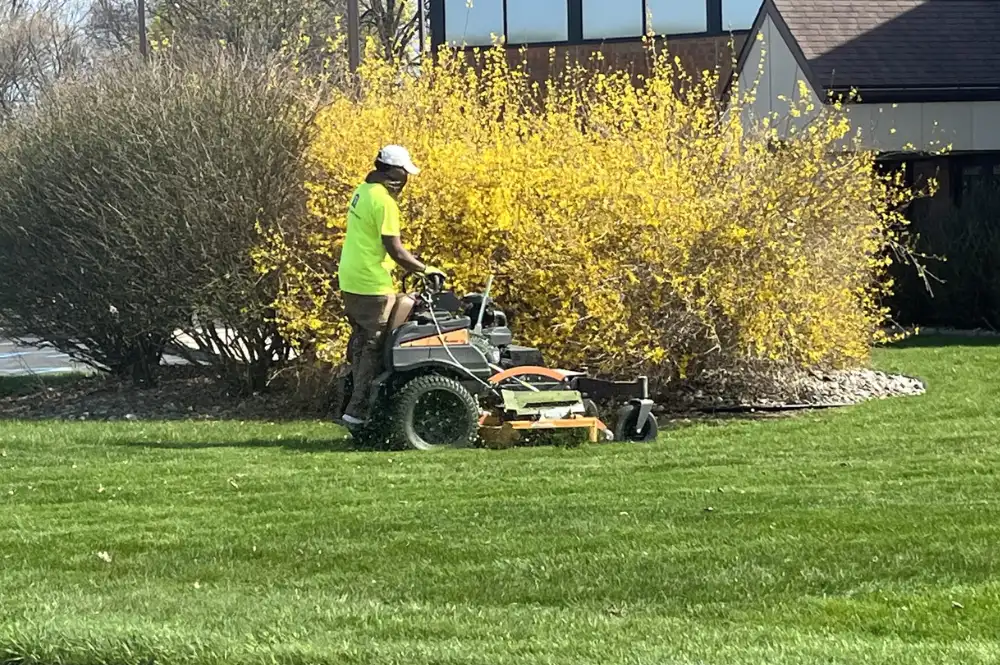 A Keast Lawn and Snow crew member mowing a green lawn on a zero turn mower past a blooming forsythia