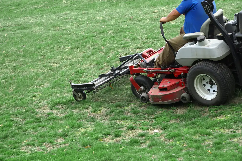 yard clean up and lawn dethatching Lansing MI