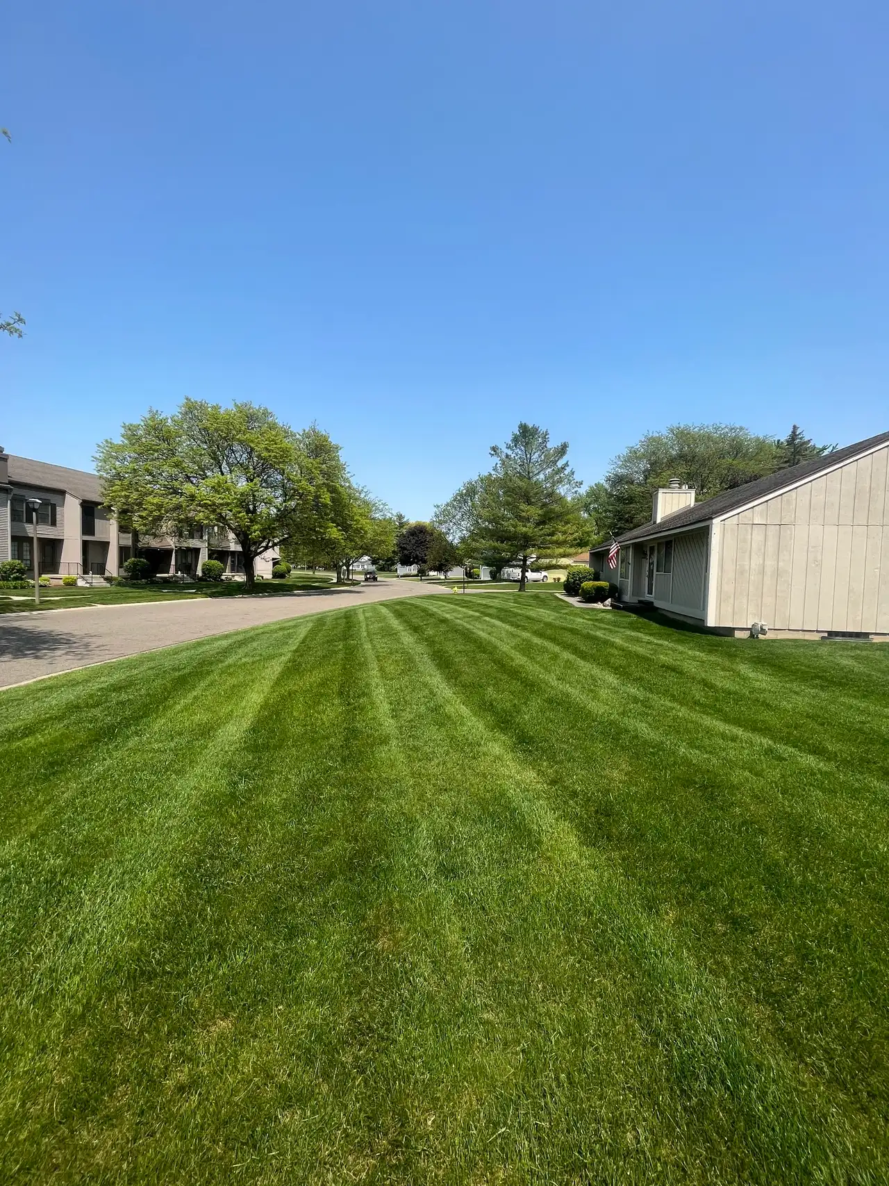 lawn