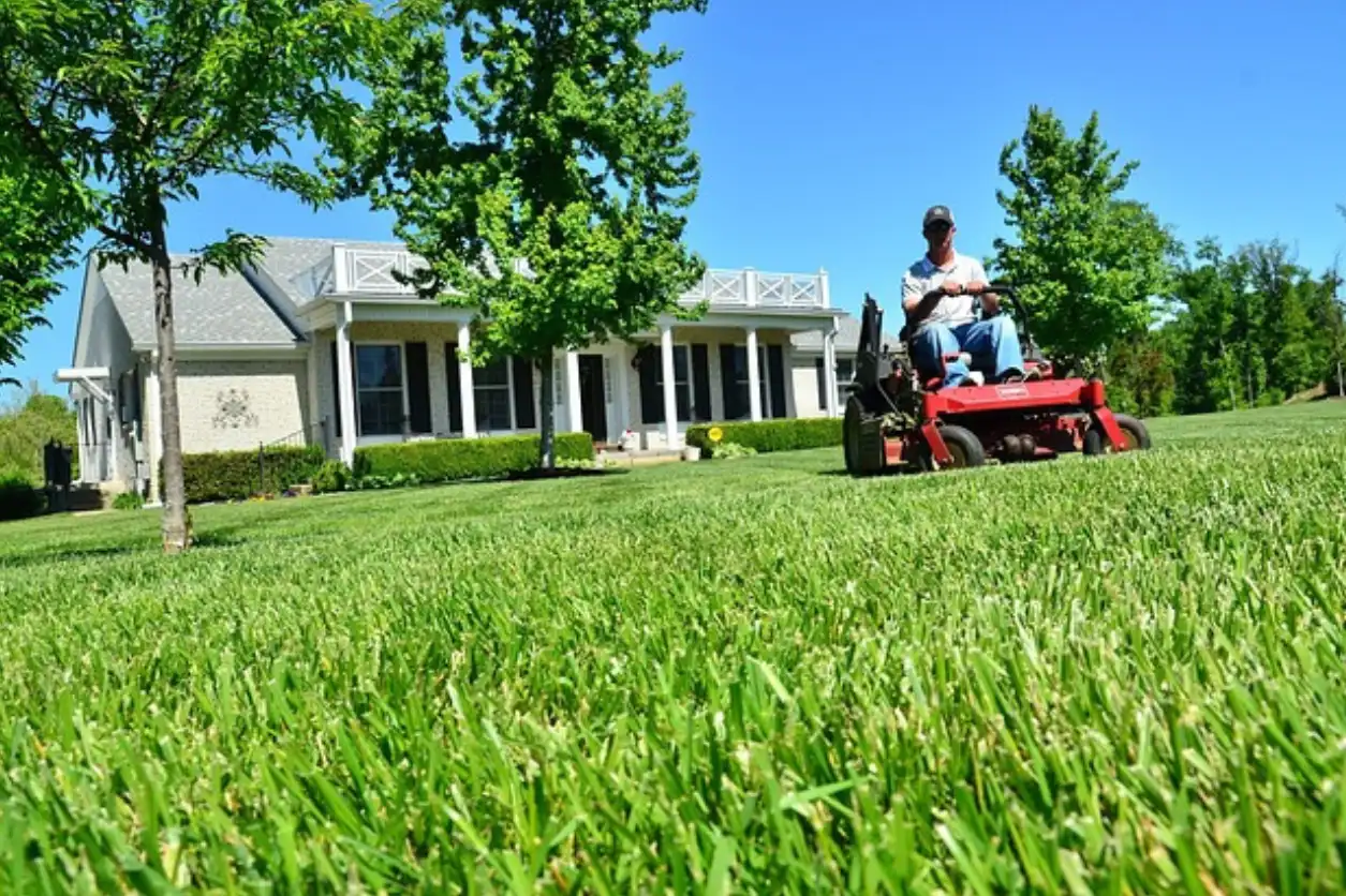 Lawn Mowing Services In Lansing, MI
