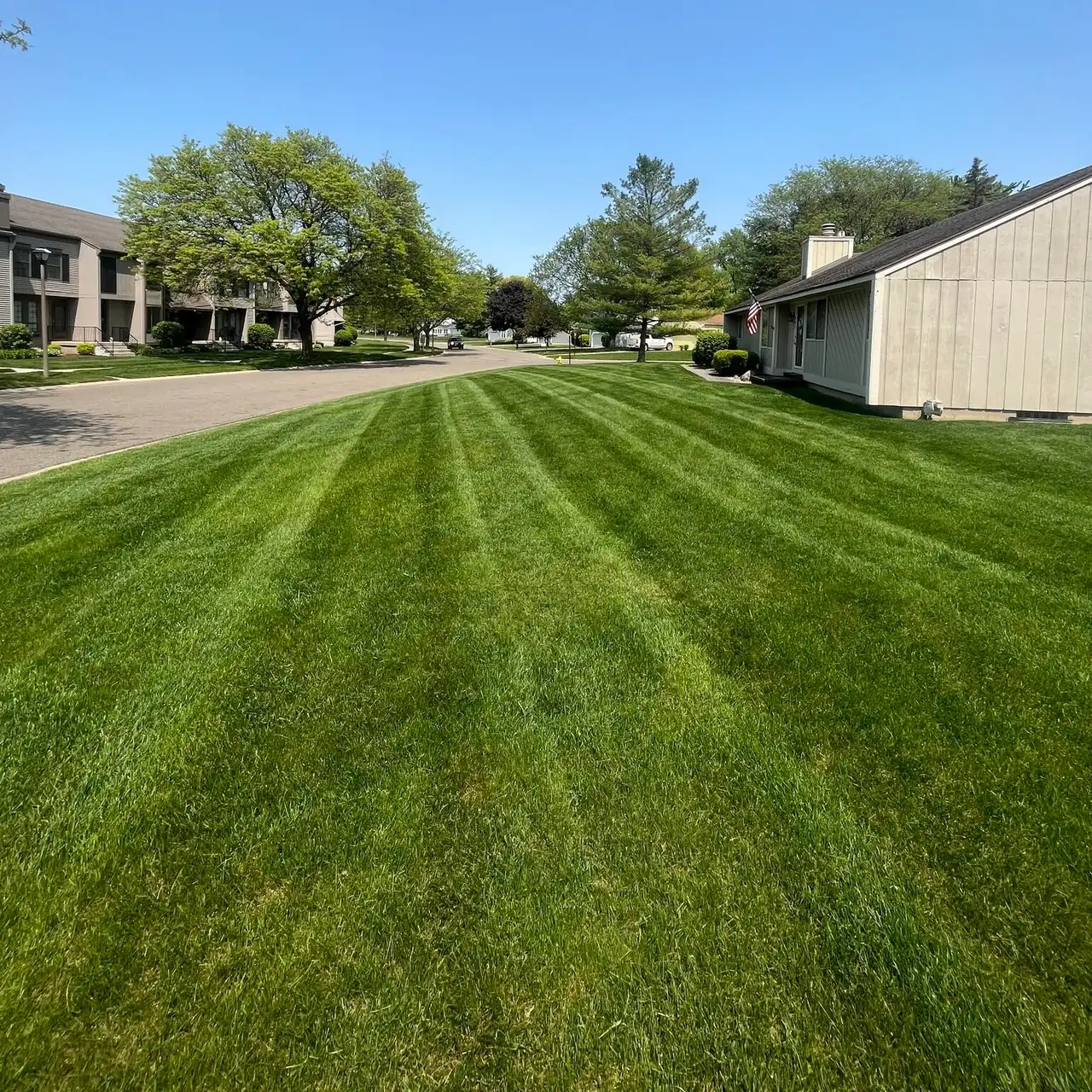 Professional lawn mowing service in Lansing, MI