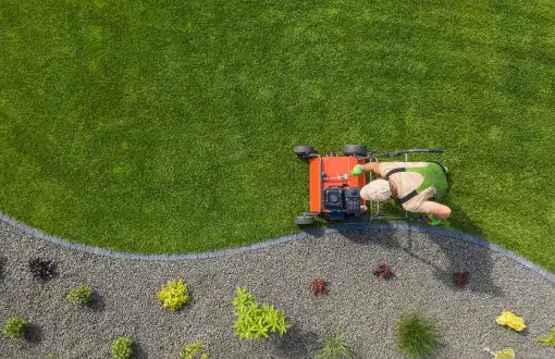 Healthy Kentucky Bluegrass lawn recovery in Michigan spring