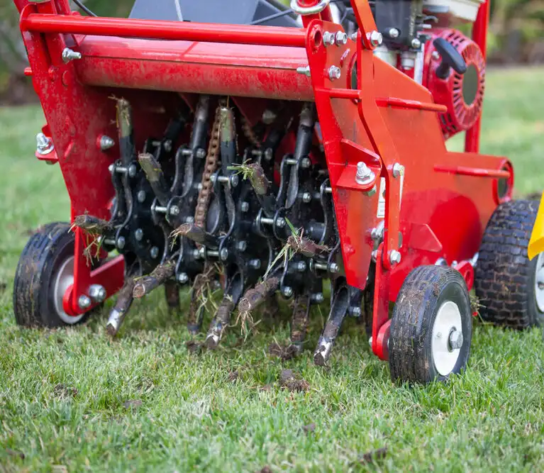 Best time to aerate lawn in Michigan