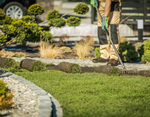 Patchy lawn after spring cleanup in East Lansing Michigan