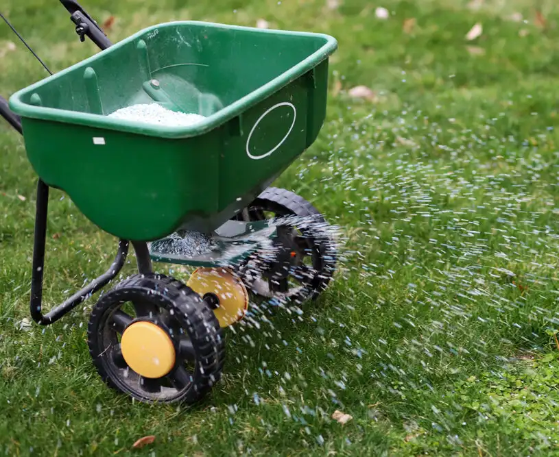 Lawn fertilizing and weed control service in Michigan
