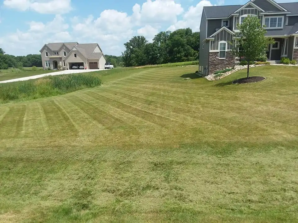 Healthy green residential backyard lawn in the East Lansing, Michigan area protected by mosquito and tick control