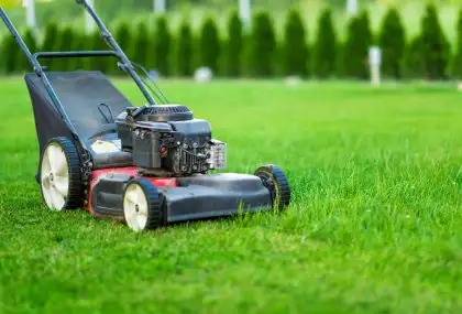 Healthy, freshly mowed cool-season residential lawn in the East Lansing, Michigan area