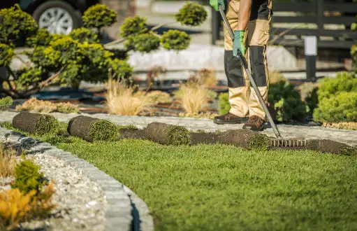 Lawn care service in East Lansing Michigan
