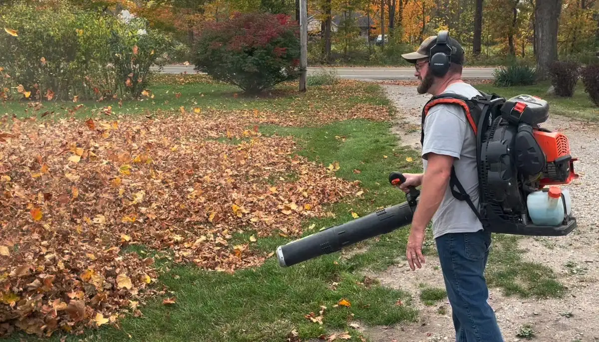 Why Fall Cleanup and Leaf Removal Protect Your Michigan Lawn