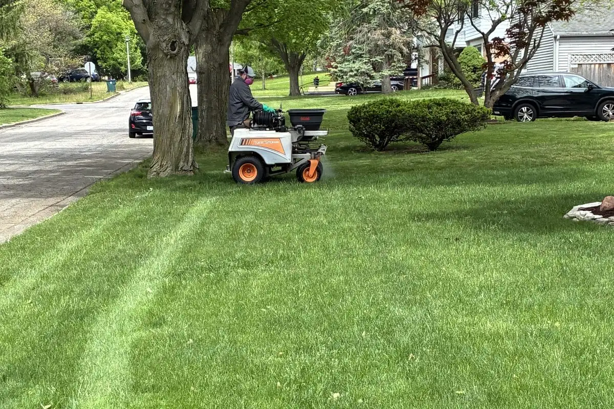 Why Fall Fertilization Is the Most Important Feeding for Your East Lansing Lawn