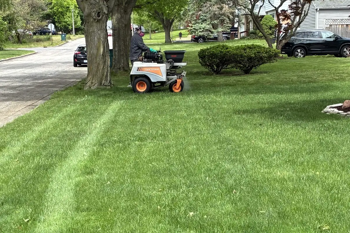 Why Fall Is the Most Important Feeding of the Year for Michigan Lawns