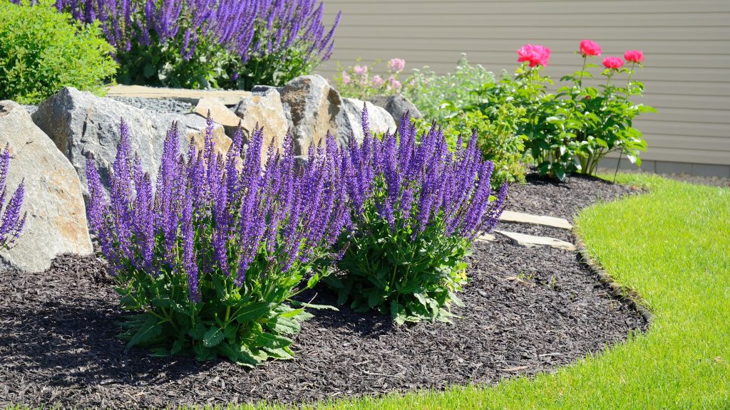 landscape maintenance near me