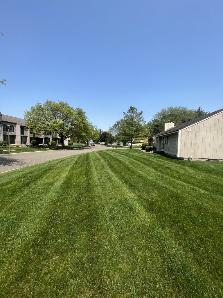 lawn