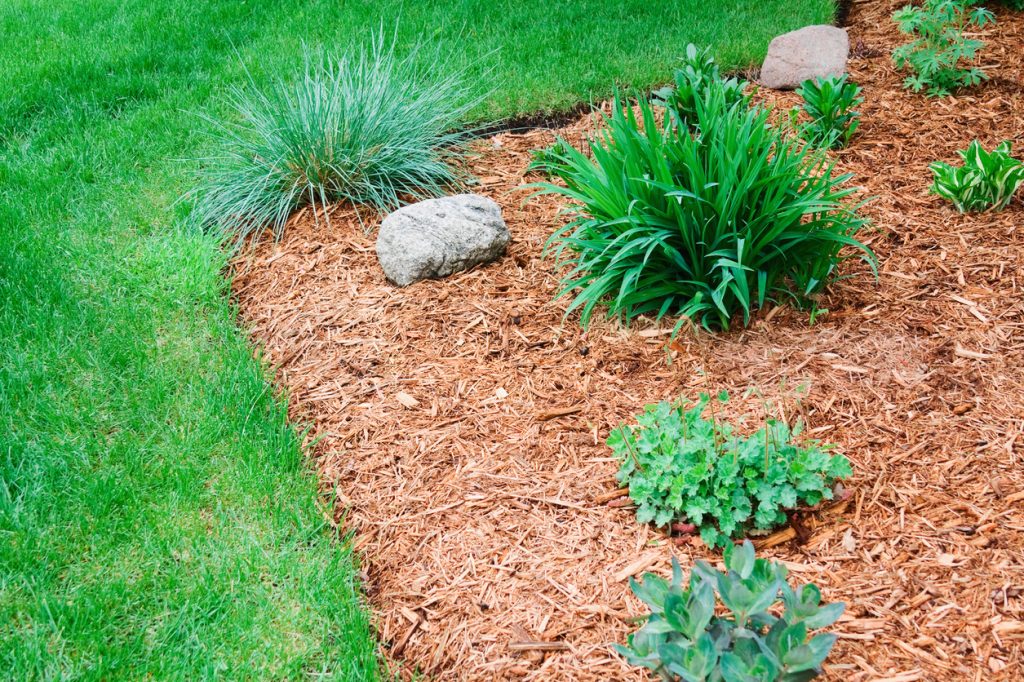 mulching near me