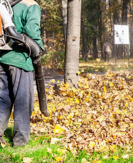 spring yard clean up Lansing MI
