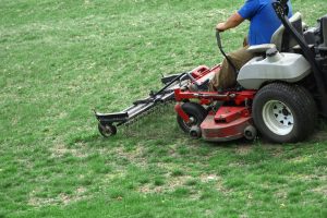 yard clean up and lawn dethatching Lansing MI