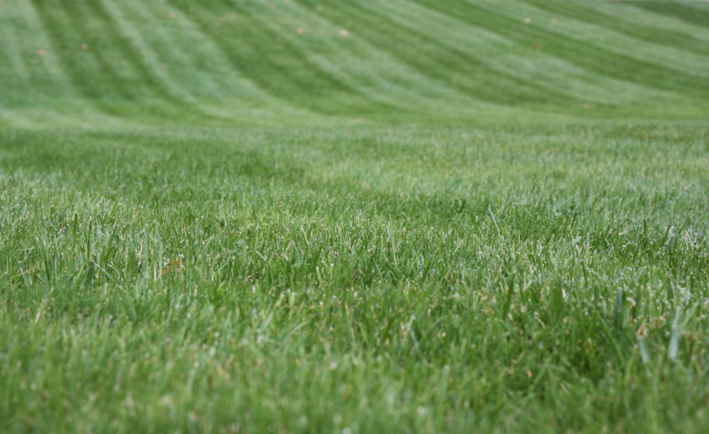 lawn mowing near me