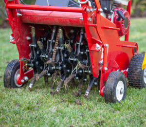 best time to aerate lawn in Michigan