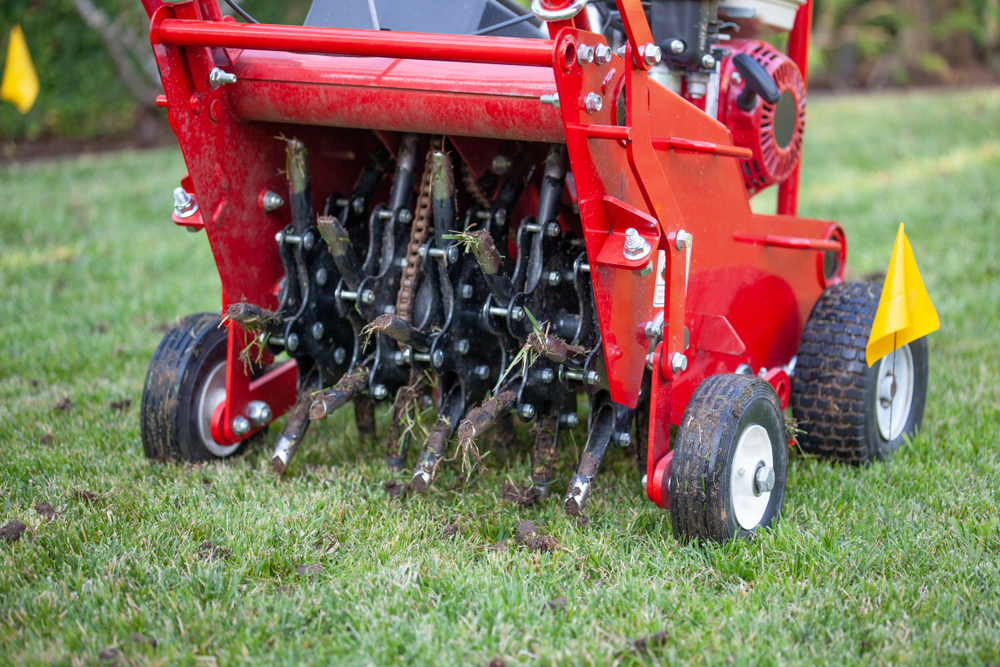 best time to aerate lawn in Michigan