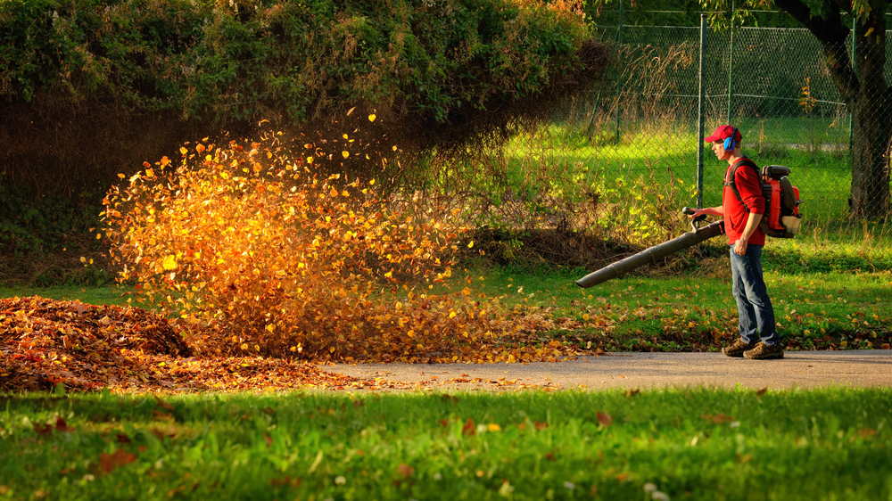 mulch vs bag leaves Michigan