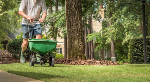 lawn fertilization schedule for Michigan