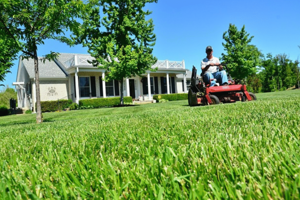 Lawn Mowing Services In Lansing, MI